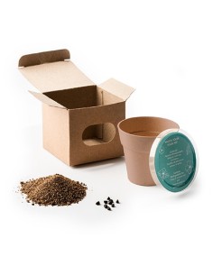 Maceta Petunias Volen 2