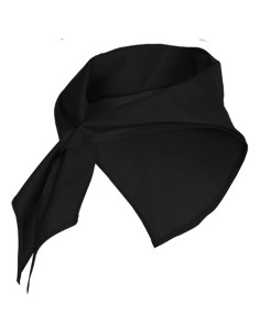Pañuelo Triangular Jaranero 2