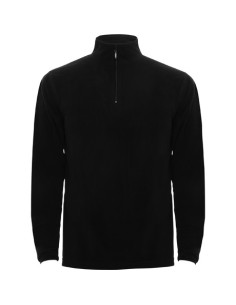 Micropolar Himalaya 2