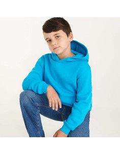 Sudadera New Capucha