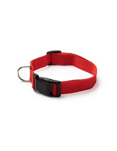 Collar para mascotas Korat