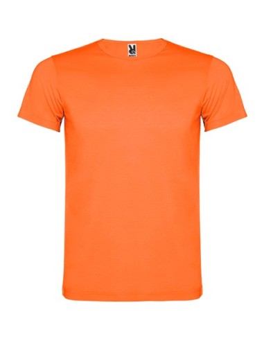 Camiseta Akita